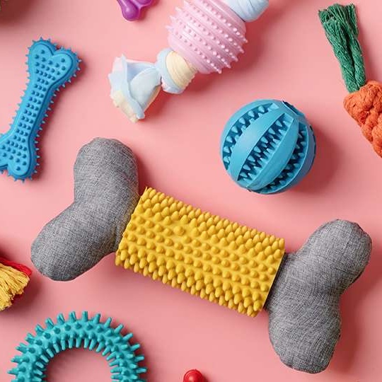 寵物創業及營銷指南(第二屆)