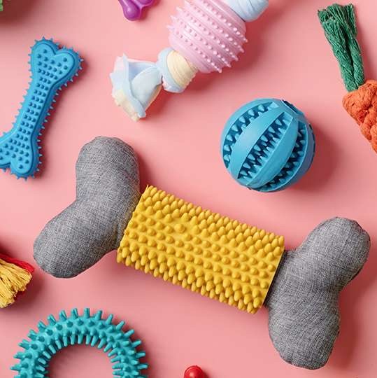 寵物創業及營銷指南(第二屆)