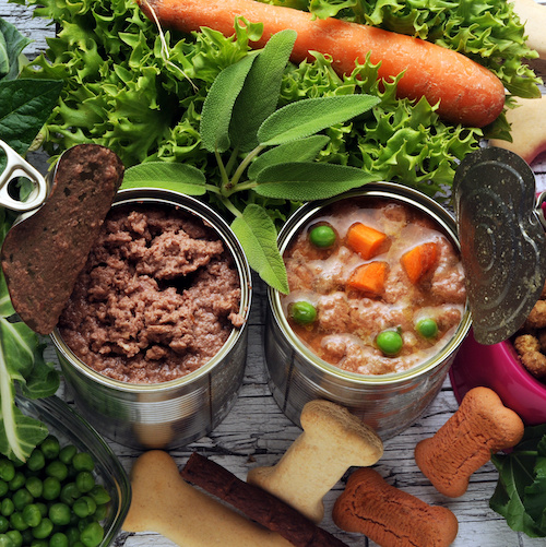 寵物飲食營養證書課程(第18屆)